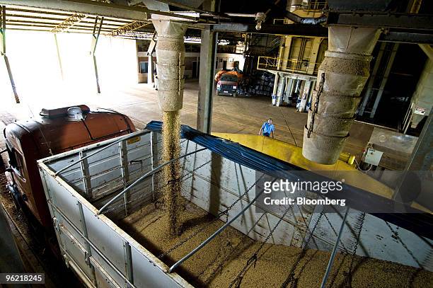 Soybeans are loaded onto a truck after being harvested at the Sao Miguel farm in Campo Verde, Brazil, on Saturday, March 1, 2008. Soybean output in...