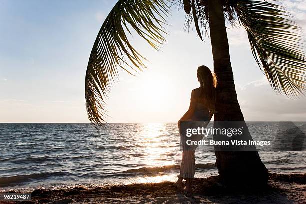 woman watching sunset from key biscayne - coconut beach woman stock pictures, royalty-free photos & images