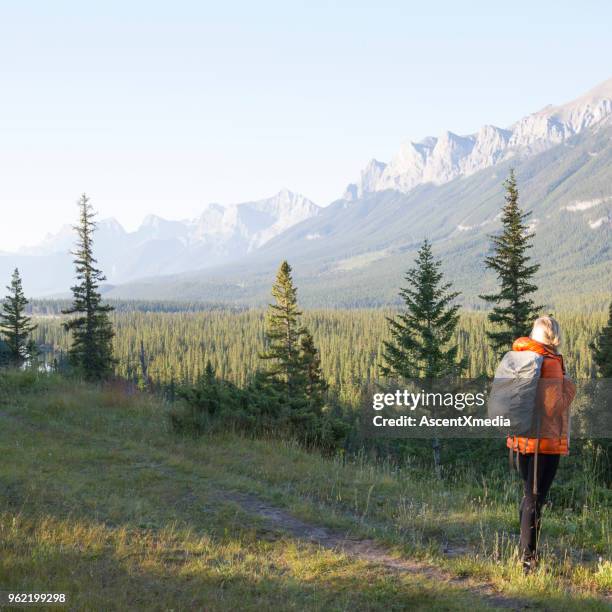 hiker femenino sigue camino sobre la cresta del canto de la montaña - bow valley fotografías e imágenes de stock