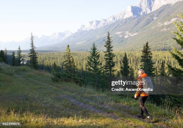 hiker femenino sigue camino sobre la cresta del canto de la montaña - bow valley fotografías e imágenes de stock