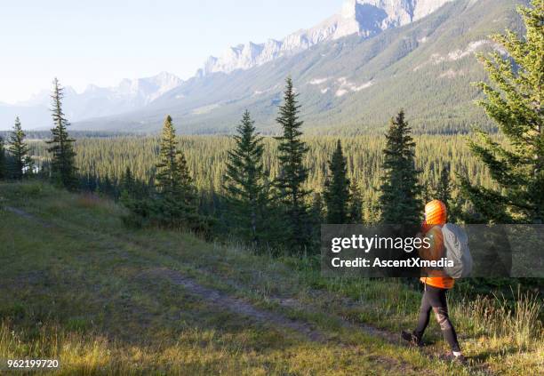 hiker femenino sigue camino sobre la cresta del canto de la montaña - bow valley fotografías e imágenes de stock