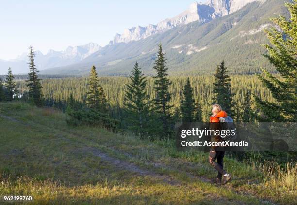 hiker femenino sigue camino sobre la cresta del canto de la montaña - bow valley fotografías e imágenes de stock