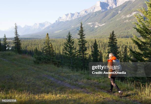 hiker femenino sigue camino sobre la cresta del canto de la montaña - bow valley fotografías e imágenes de stock