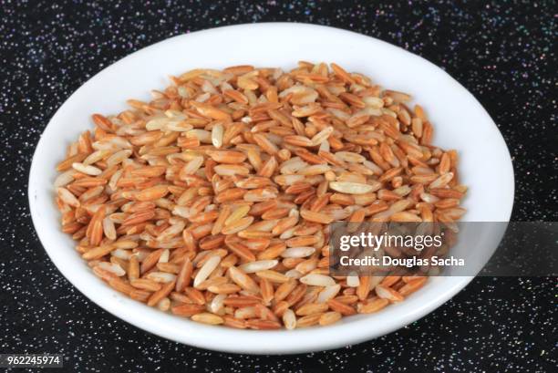 dish of uncooked pink madagascar rice - rundkornsris bildbanksfoton och bilder