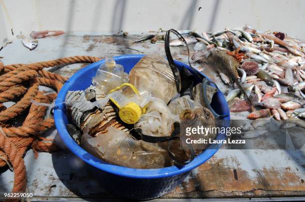 Fish and plastic waste belonging to a single catch inside the nets on a fishing boat during the operations of 'Arcipelago Pulito ' project in the...