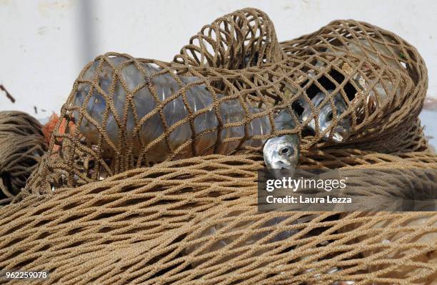 Fish and plastic waste inside the nets on a fishing boat during the operations of 'Arcipelago Pulito ' project in the Tyrrhenian Sea on May 24, 2018...