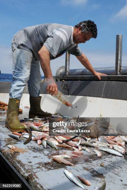 Fisherman divides the fish from the plastic waste inside the nets on a fishing boat during the operations of 'Arcipelago Pulito ' project in the...