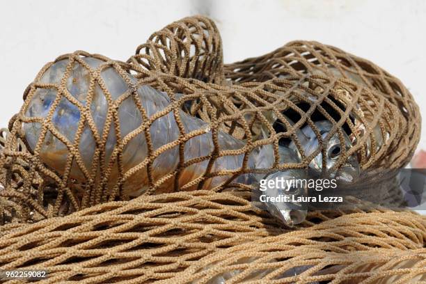 Fish and plastic waste inside the nets on a fishing boat during the operations of 'Arcipelago Pulito ' project in the Tyrrhenian Sea on May 24, 2018...