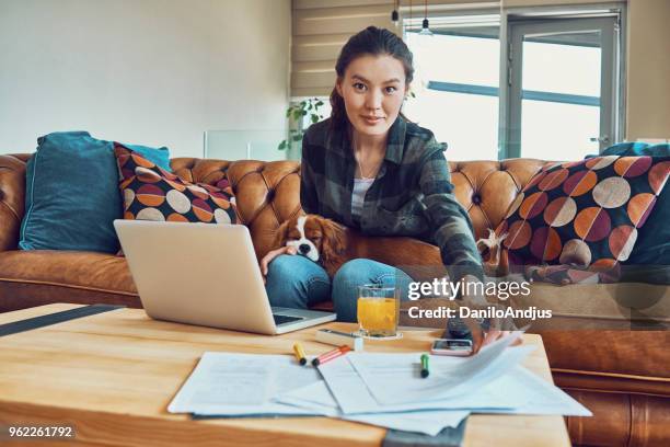 young asian woman working from home with her little dog sleeping in her lap - dog looking at camera stock pictures, royalty-free photos & images