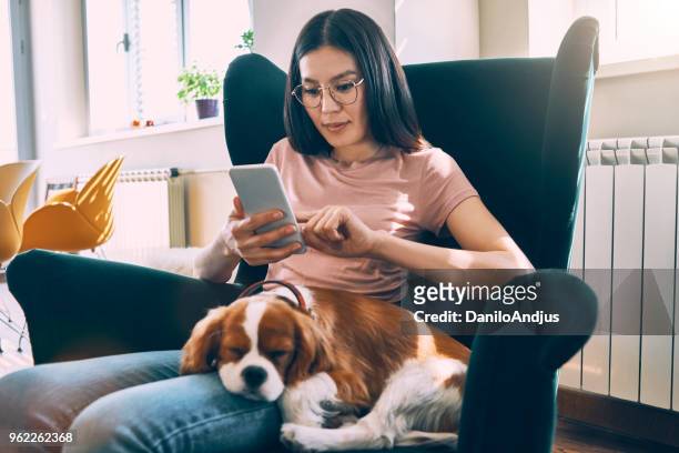 junge frau am nachmittag zu hause mit ihrem hund zu genießen und mit ihrem smartphone - cavalier king charles spaniel stock-fotos und bilder