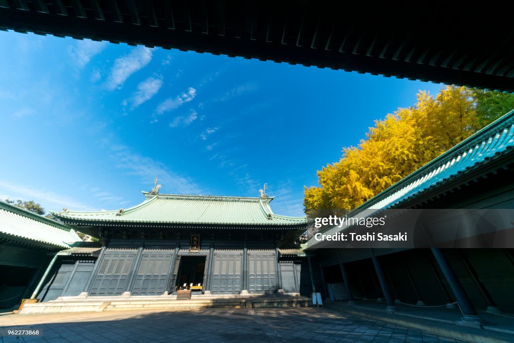 Autumn leaves Ginkgo trees stand behind the precincts of Taiseiden Yushima Seido Temple under the clear blue sky at Yushima, Bunkyo Ward Tokyo Japan on November 25 2017.