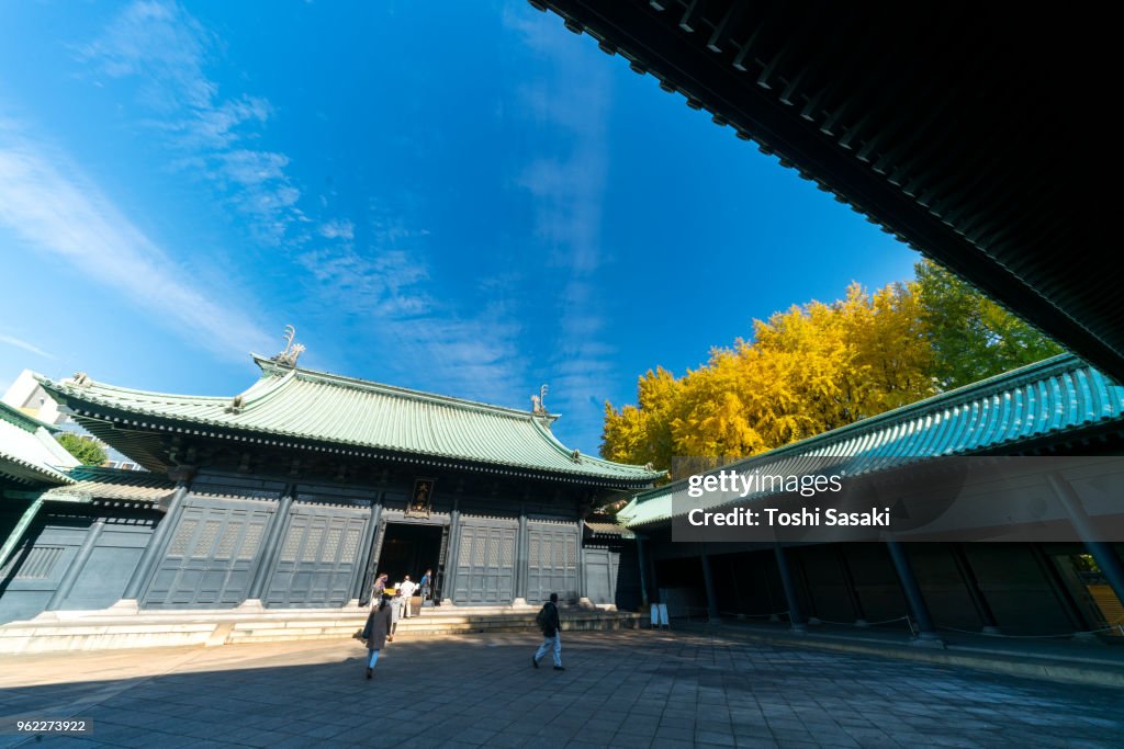 Autumn leaves Ginkgo trees stand behind the precincts of Taiseiden Yushima Seido Temple under the clear blue sky at Yushima, Bunkyo Ward Tokyo Japan on November 25 2017.