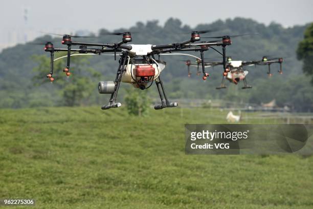An agricultural drone sprays pesticides on tea trees above Longjing Tea Plantation on May 24, 2018 in Hangzhou, Zhejiang Province of China.