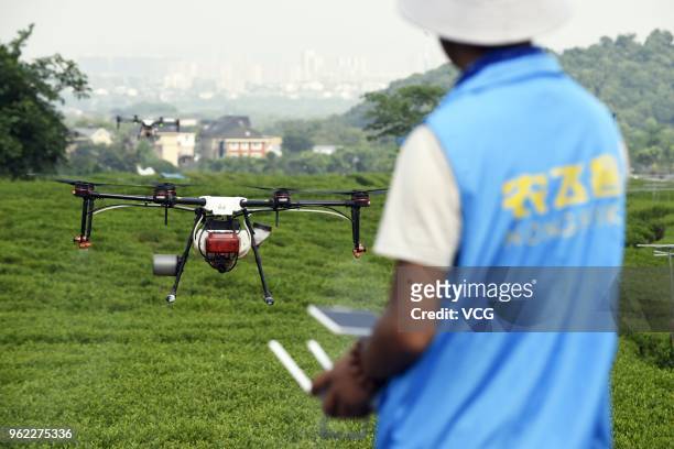 An operator controls a drone to spray pesticides on tea trees above Longjing Tea Plantation on May 24, 2018 in Hangzhou, Zhejiang Province of China.