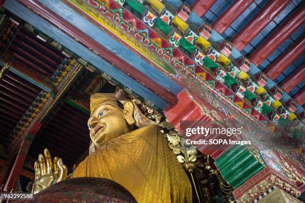 Huge golden Buddha statue seen inside the Ganden Sumtsenling Monastery in Shangri-La.