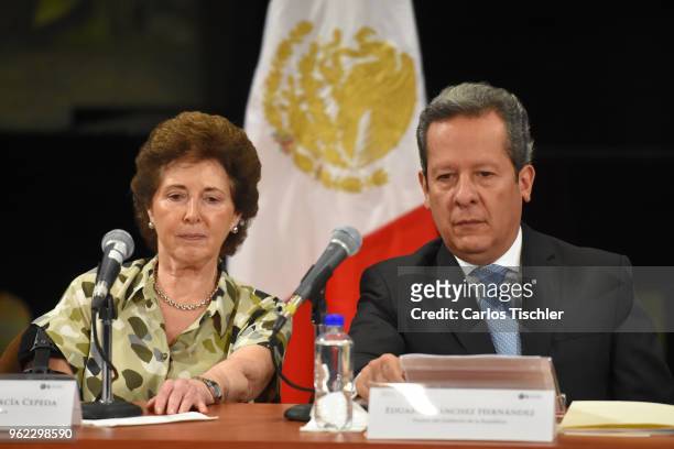 Secretary of Culture, María Cristina García Cepeda and Deputy of the LX Legislature of the Mexican Congress, Eduardo Sanchez Hernandez look on during...