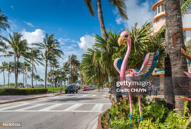 welcome visitors - miami art stock pictures, royalty-free photos & images