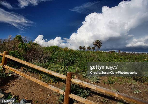 bolsa chica wetlands another point of view - bolsa stock-fotos und bilder