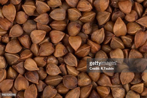 buckwheat texture high-quality photograph of premium buckwheat seeds - buckwheat stock pictures, royalty-free photos & images