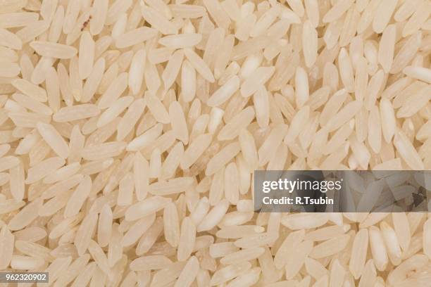 White Rice Rectangle Organic Rectangle Shape Photos and Premium High Res Pictures - Getty Images