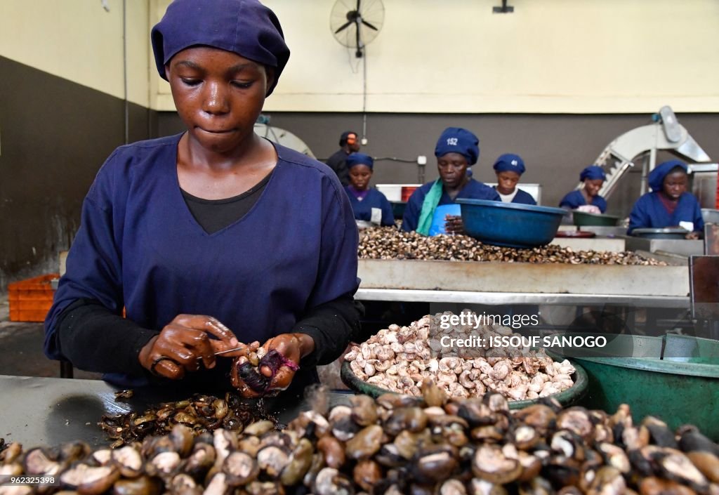 ICOAST-FOOD-INDUSTRY-CASHEW