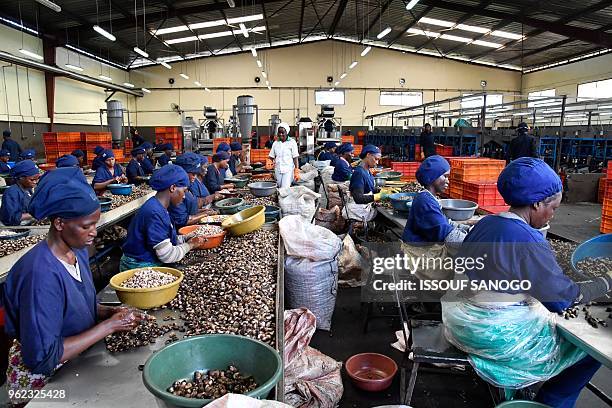 Women break raw cashew nuts at a cashew nuts processing factory in the central Ivorian city of Bouake on May 24, 2018.