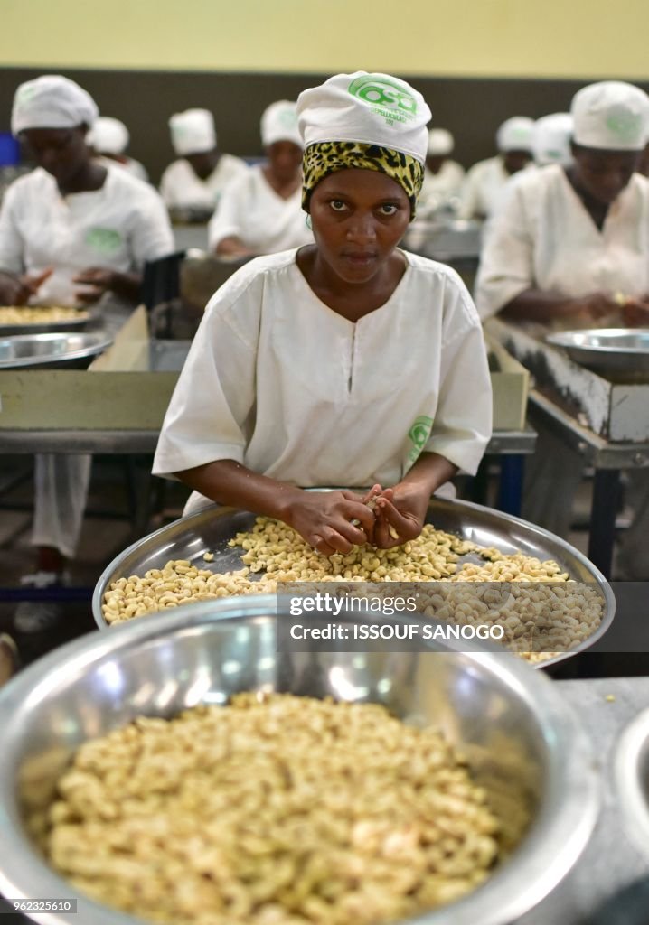 ICOAST-FOOD-INDUSTRY-CASHEW