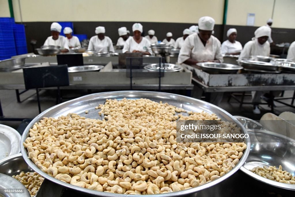 ICOAST-FOOD-INDUSTRY-CASHEW
