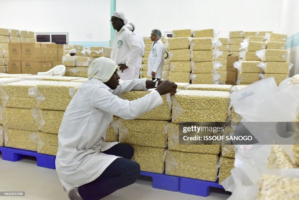 ICOAST-FOOD-INDUSTRY-CASHEW