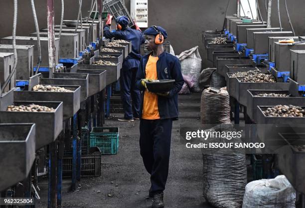 Employees work at a cashew nuts processing factory in the central Ivorian city of Bouake on May 24, 2018.