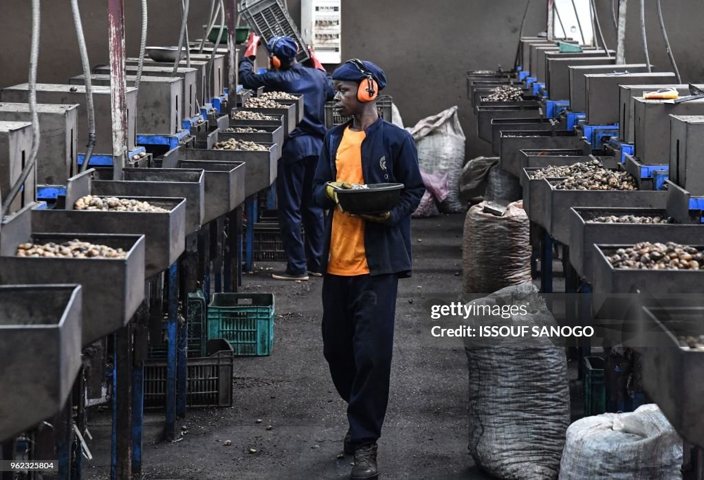 ICOAST-FOOD-INDUSTRY-CASHEW