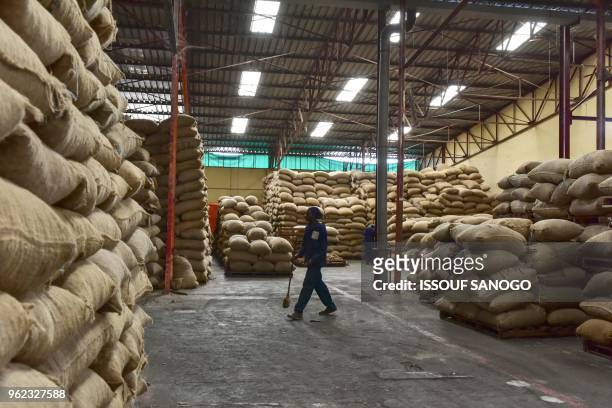 Employees work by piles of raw cashew nuts bags in the warehouse of a cashew nuts processing factory in the central Ivorian city of Bouake on May 24,...