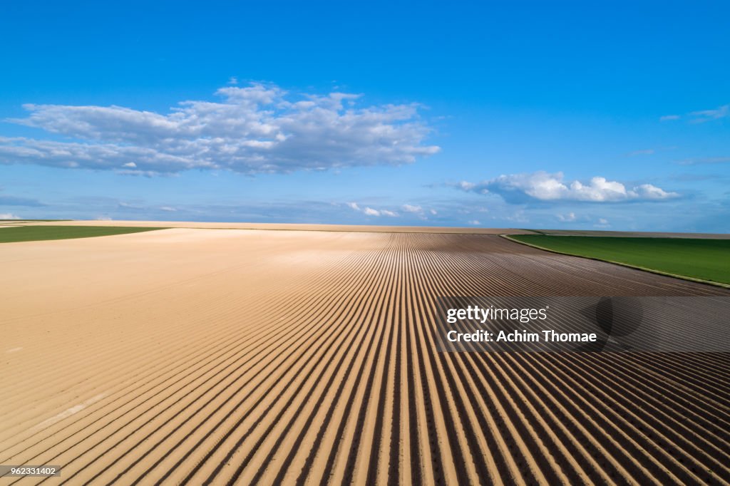 Geometrical patterns in a spring landscape, Germany, Europe