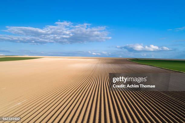 geometrical patterns in a spring landscape, germany, europe - von oben stock pictures, royalty-free photos & images