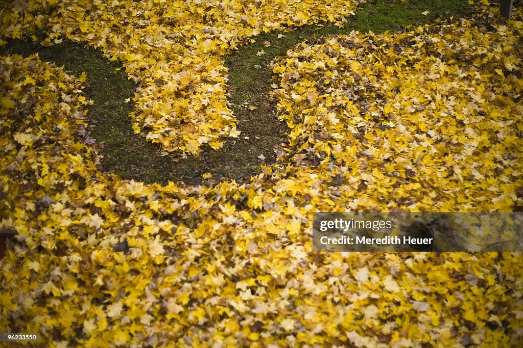 Leaf maze