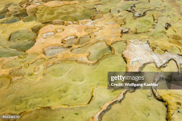 Detail of calcium carbonate and other mineral deposits at Hierve el Agua near Oaxaca, southern Mexico.