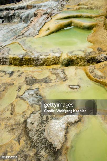 Detail of calcium carbonate and other mineral deposits at Hierve el Agua near Oaxaca, southern Mexico.