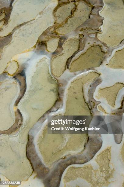 Detail of calcium carbonate and other mineral deposits at Hierve el Agua near Oaxaca, southern Mexico.