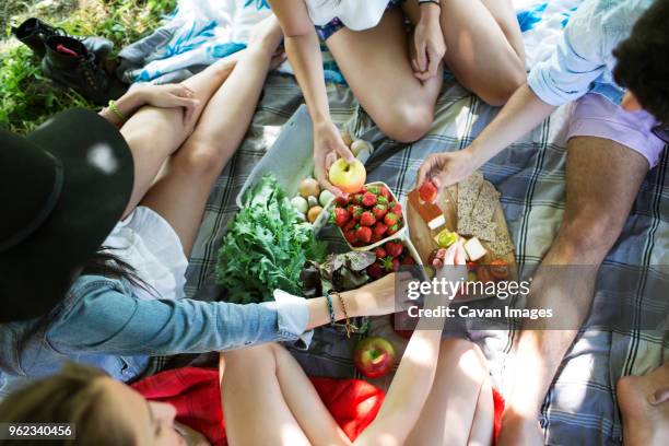 high angle view of friends eating food while sitting on picnic blanket - レジャーシート ストックフォトと画像