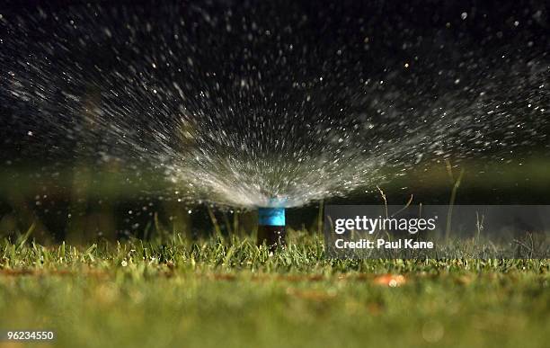 Sprinklers are pictured watering a residential lawn as Perth moves closer to suffering the longest drought on record, with today marking 69...