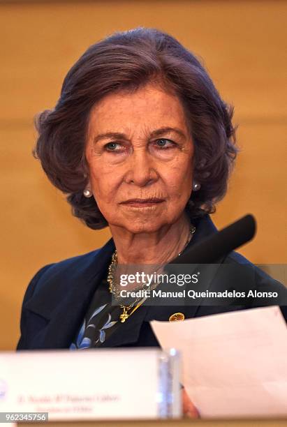 Queen Sofia attends the inauguration of National Congress of The Spanish Federation of Food Banks at Centro Cultural Bancaja on May 25, 2018 in...