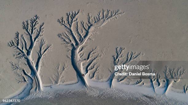 amazing natural shapes and textures created by tidal changes, seen from above - schiermonnikoog stock pictures, royalty-free photos & images