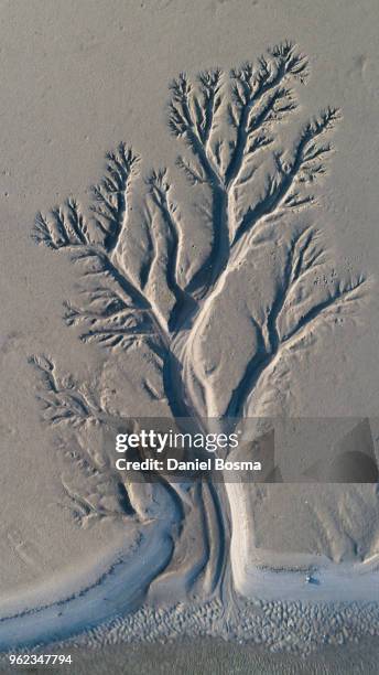 aerial view above schiermonnikoog of amazing natural shapes and textures created by tidal changes - origins foto e immagini stock