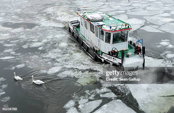 Swans swim away from an icebreaker churning through ice in the Dahme river in the district of Koepenick on January 28, 2010 in Berlin, Germany....