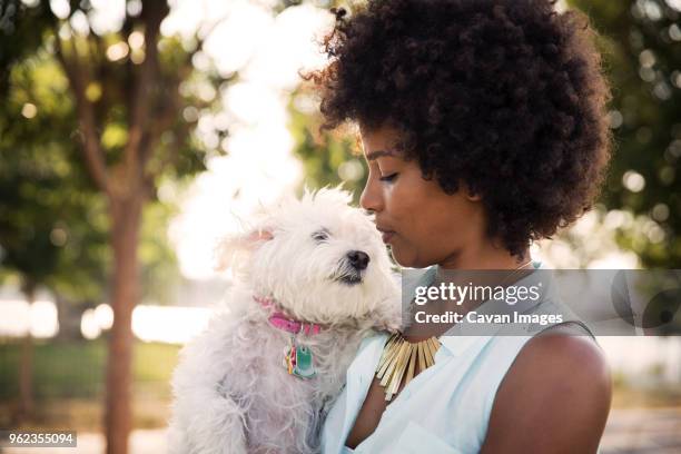 woman with curly hair kissing dog while standing at park - west highland white terrier stock pictures, royalty-free photos & images