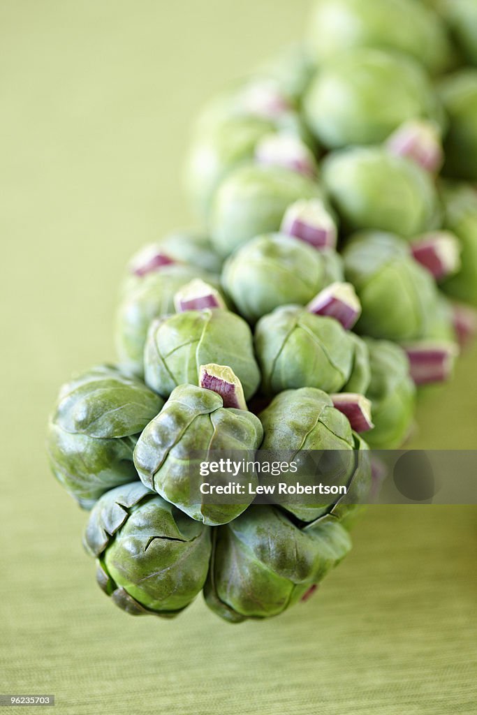 Brussels Sprouts