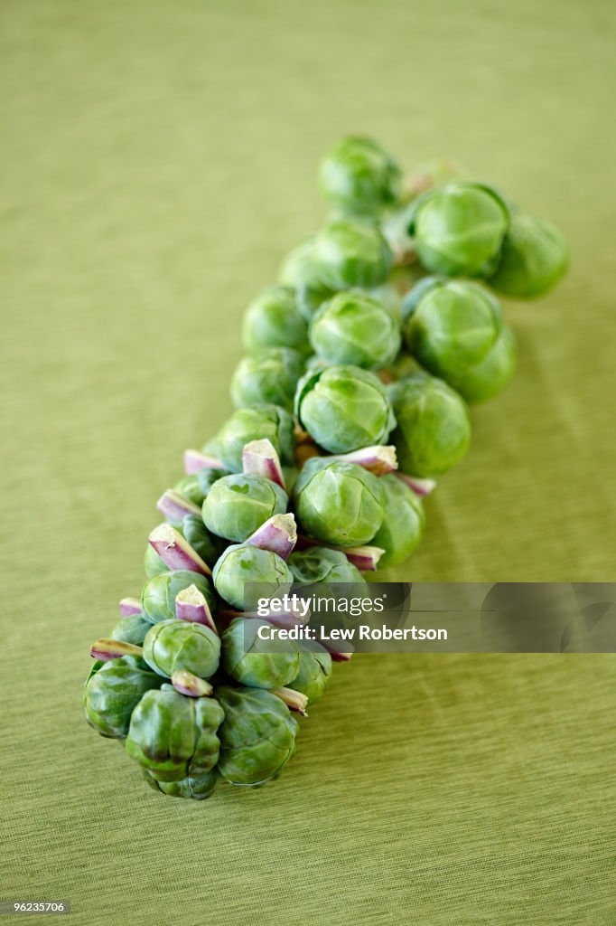 Brussels Sprouts