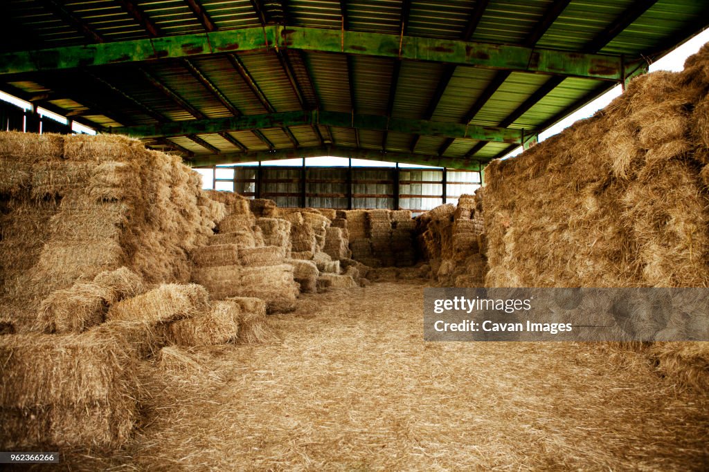 Hay bales in barn