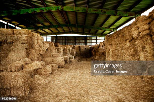 hay bales in barn - hooi stockfoto's en -beelden