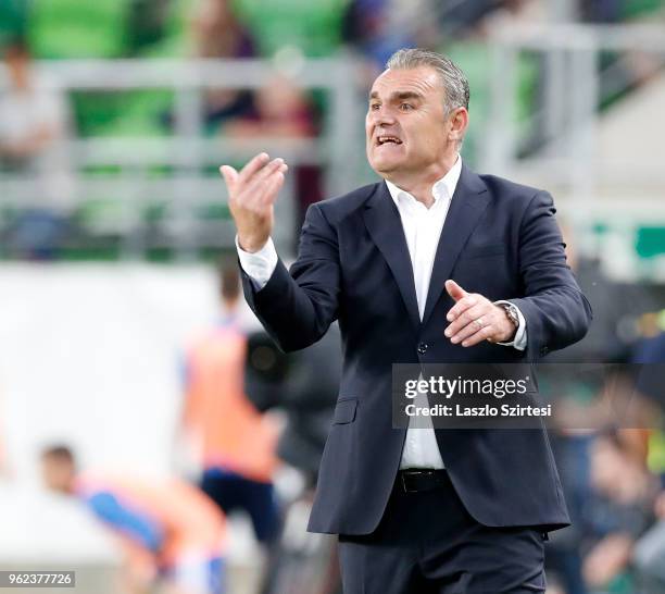 Head coach Attila Pinter of Puskas Akademia FC reacts during the Hungarian Cup Final match between Puskas Akademia FC and Ujpest FC at Groupama Arena...